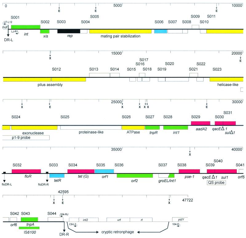 Complete nucleotide sequence of a 43-kilobase genomic island associated with the multidrug resistance region of Salmonella enterica serovar Typhimurium DT104 and its identification in phage type DT120 and serovar Agona. 